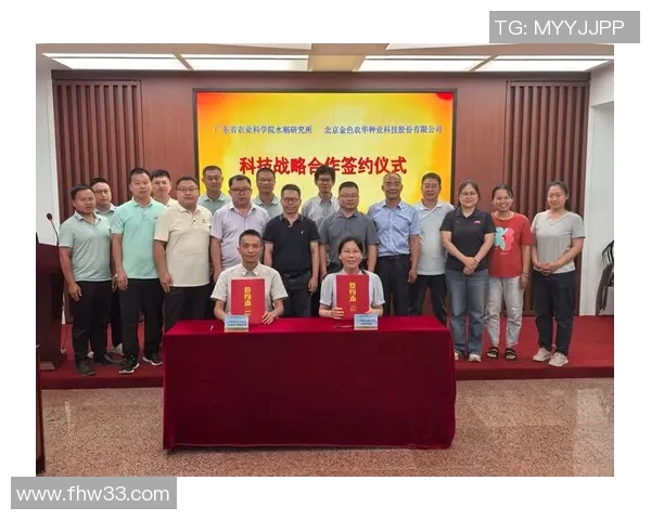 武汉排球队技术分析与战术提升的深度探讨与展望