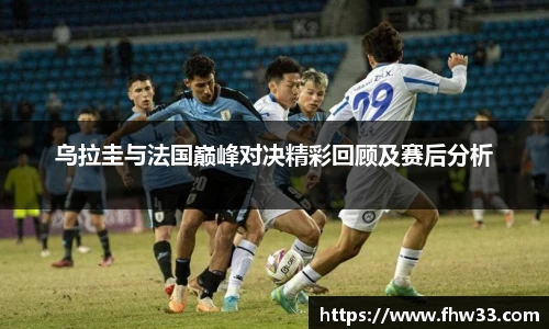 乐鱼网站